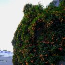 경일빌딩 주변 이미지