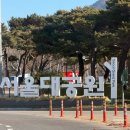 통나무소극장 | 서울랜드 크리스마스 축제 눈썰매장 주차 및 먹거리 정보 등 오후권 솔직후기