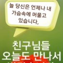 정감이 이미지