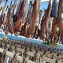 구룡포이선옥과메기 이미지