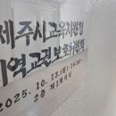노컷뉴스
