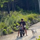 별과 달 이야기 펜션2 이미지