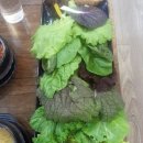 우렁우렁 쌈밥