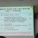 포일성모유치원