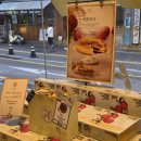 부산 3대빵집 옵스 해운대 비추천메뉴 케이크 후기