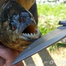 마옥환경 이미지