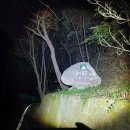 갈밭축산 이미지