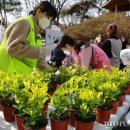과천사랑방 이미지