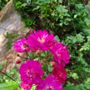 우리만물센터 이미지