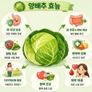 예다움협동조합 | 설선물세트 추천 부모님 명절 선물 순위