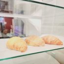 연진화분 이미지
