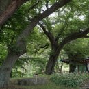 선운산 관광안내소 이미지