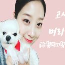 더순수헤어 이미지