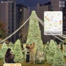 서울 대형 크리스마스 트리 볼 수 있는 곳들 이미지