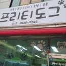 프리티도그 이미지