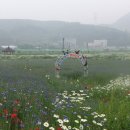 에버투어 이미지