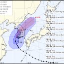 20호 이미지
