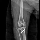 24시 양주 힐 동물의료센터 이미지