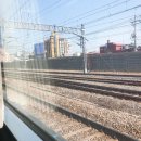 (주)아성다이소 평택장당점 | [숩의 소소한 일상 18] 2021. 03. 15~ 2021. 03. 21