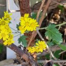 주막집생고기 이미지