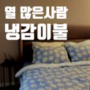 이불세상 | 오늘의집 집요한 세일에 여름이불 득템, 토노브 냉감이불 솔직 후기 (내돈내산후기)