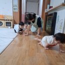 정글숲을 엉금엉금 지나서가자~~악어떼 노래부르며 엉금엉금 ㆍㆍ~^^ 이미지