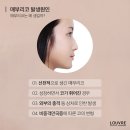 루브르성형외과