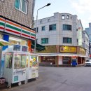 왕마포갈매기 이미지