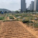 단원농장 이미지