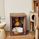 고양이집 이미지