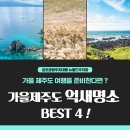 뉴월드여행사유
