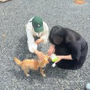 단양여행기록::친구들과 단양1박2일 여행 (풀빌라, 맛집)