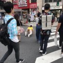 보배펫 이미지