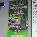 서부리감자탕 혼밥메뉴 우거지뼈해장국의 맛