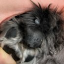 빛가온동물병원 이미지