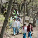 꽃차 힐링 테라피 이미지