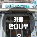 카페반디나무 이미지