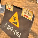 에버랜드 | 에버랜드 워킹사파리 후기