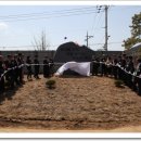 양성초등학교 이미지