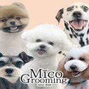 올리스24(세종점) 이미지