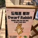 참푸른닭오리 | 가기좋은곳] 포천 아이랑 가볼만한 곳 '마이애니멀스토리 in 평강랜드' ㅣ 동물 먹이주기 체험 ㅣ 방문후기