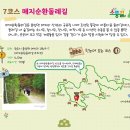 원주굽이길 16코스 매지순환둘레길 | 원주소풍길 7코스 매지순환둘레길 (2024.9.12.)