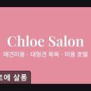 클로에 살롱 네이버블로그