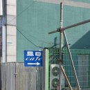 카페(cafe)428