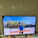 투베이스(2bass) | 투베이스 키트로 초등 아이와 함께한 고체 샴푸·고체 비누 DIY 만들기 체험 후기 (110g)