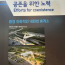 위너스호텔 | 주문진 위너스호텔 내돈내산 후기(+내린천 휴게소)