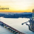 이안테라리움광안
