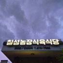 홍이농장 티스토리