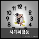 코코부엉이 이미지