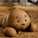 강아지똥 이미지